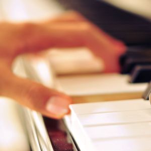 日本高清三级片直播网址
