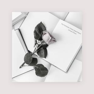 日本高清三级片直播网址
